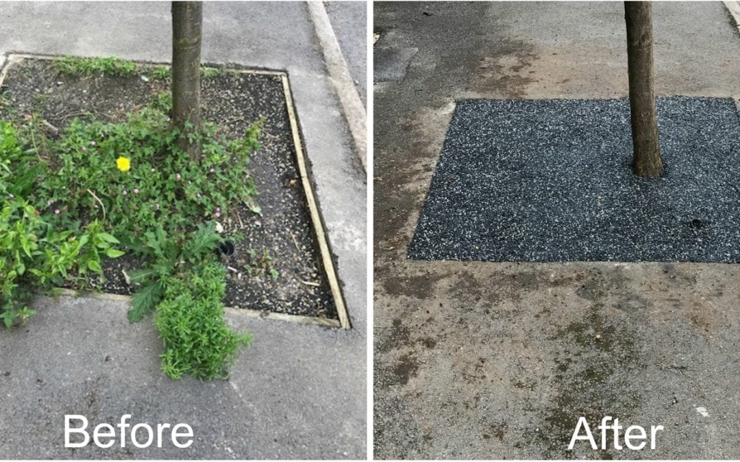 Sheffield Council Say Goodbye To Sunken Tree Pits