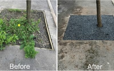 Sheffield Council Say Goodbye To Sunken Tree Pits