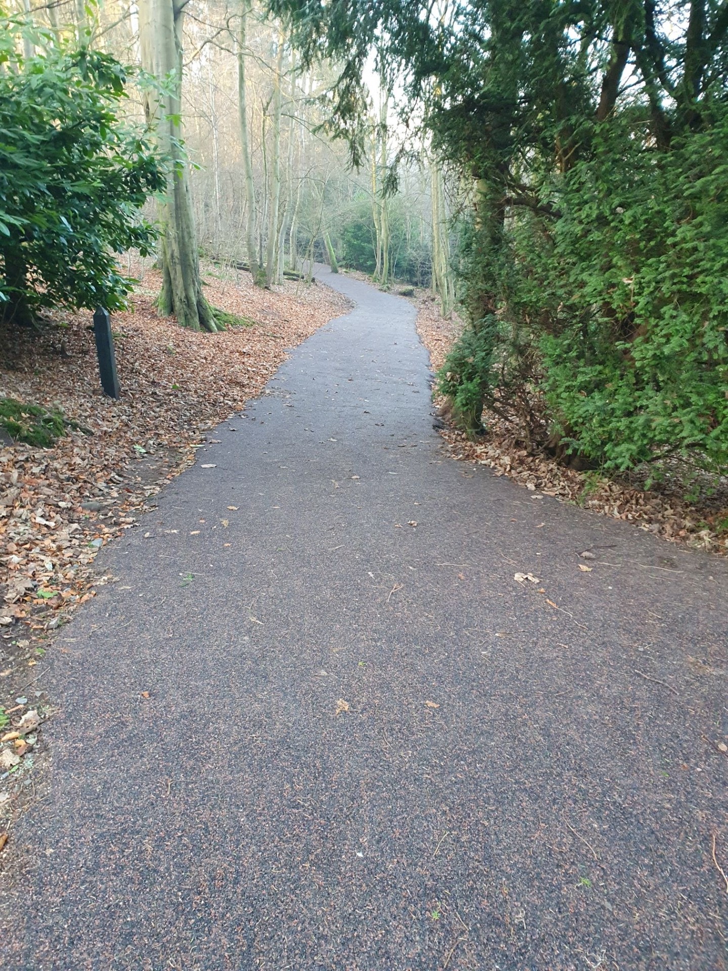 RS2 Chadwell Springs Gof Club Trailflex